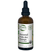 Prêle des champs