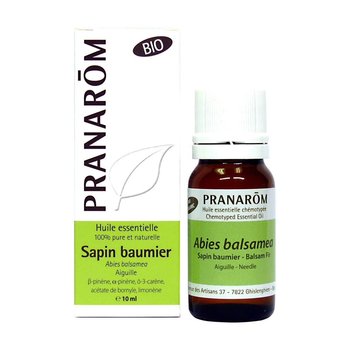 Sapin baumier