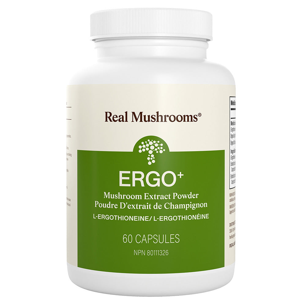 Ergo+