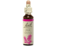 Pine - Pin