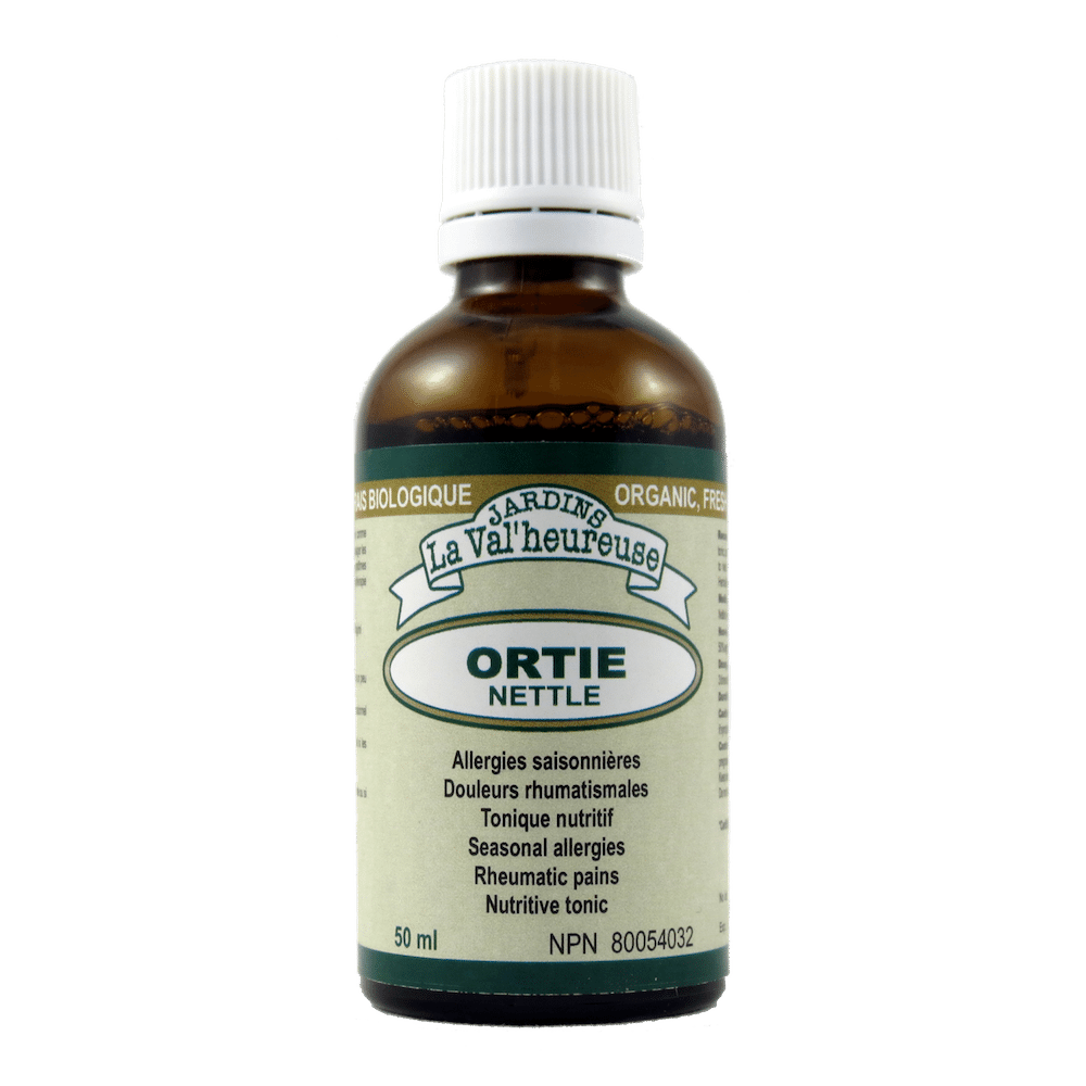 Ortie