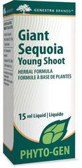 Giant Sequoia Young Shoot